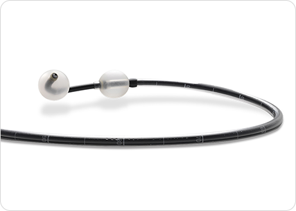 Double-ballon Endoscope